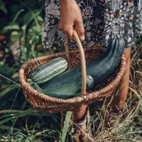 img of Summer garden care: discover our top jobs to do in the garden this July