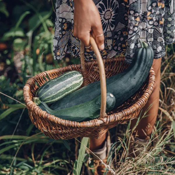 img of Summer garden care: discover our top jobs to do in the garden this July